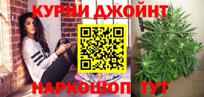 крисы Будённовск