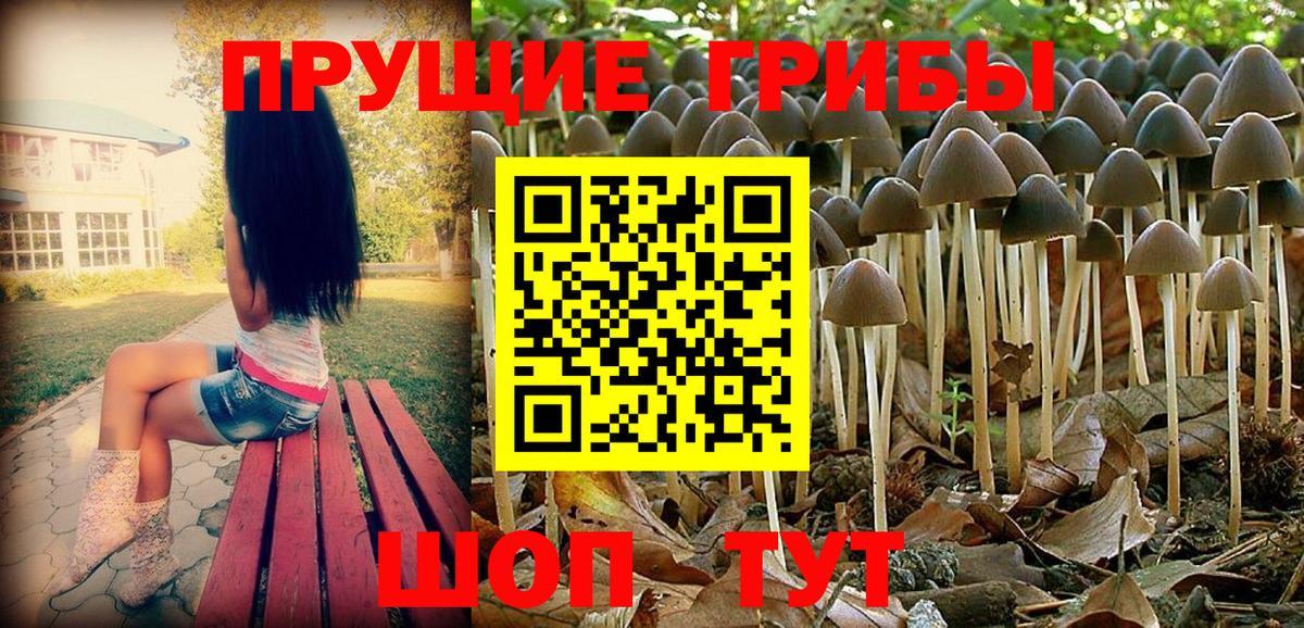 Псилоцибиновые грибы Magic Shrooms  Галлюциногенные грибы прущие грибы  Вход с VPN  Лобня 