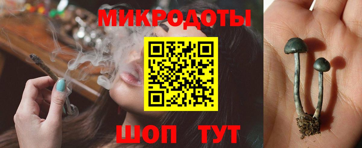 Псилоцибиновые грибы прущие грибы Лобня